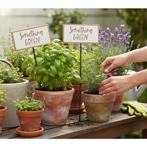 "Something Green" Fun Garden Picks For Pots or Gardens 10" T  4x2.25" Sign